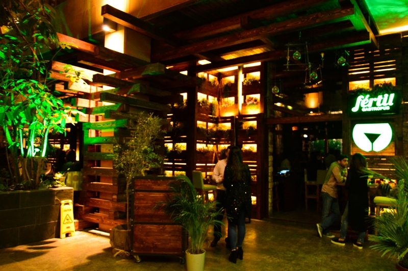 Fertil Dbayeh on Saturday Night
